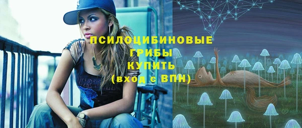 винт Липки