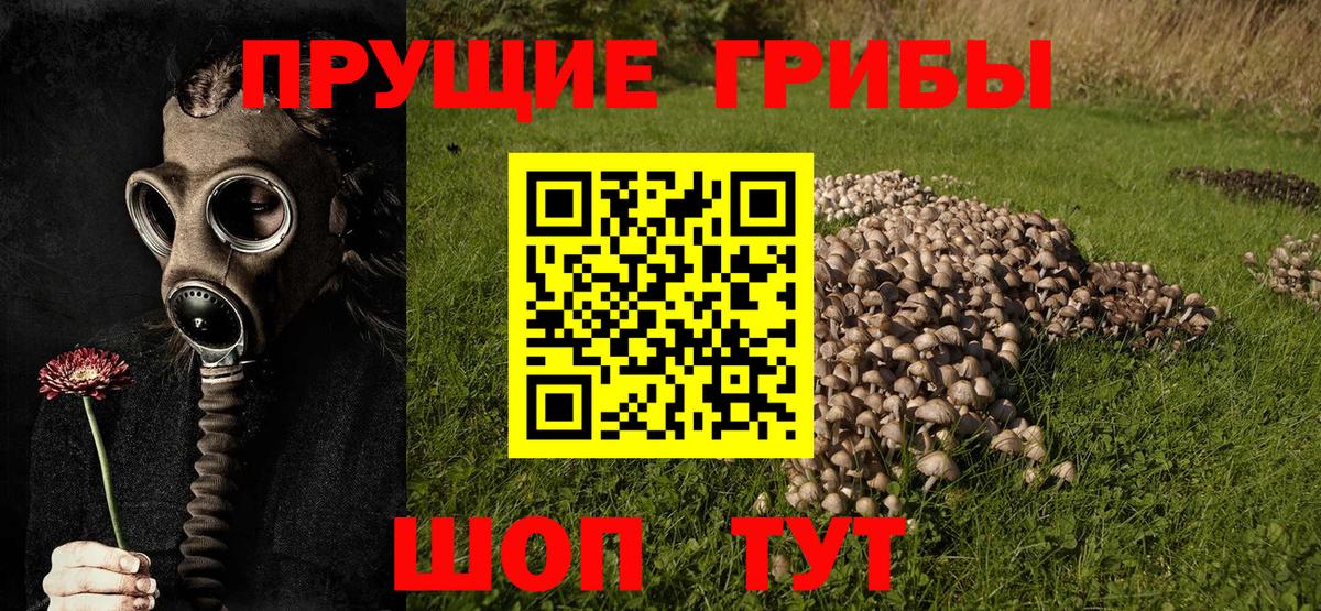 БУТИРАТ Снежинск